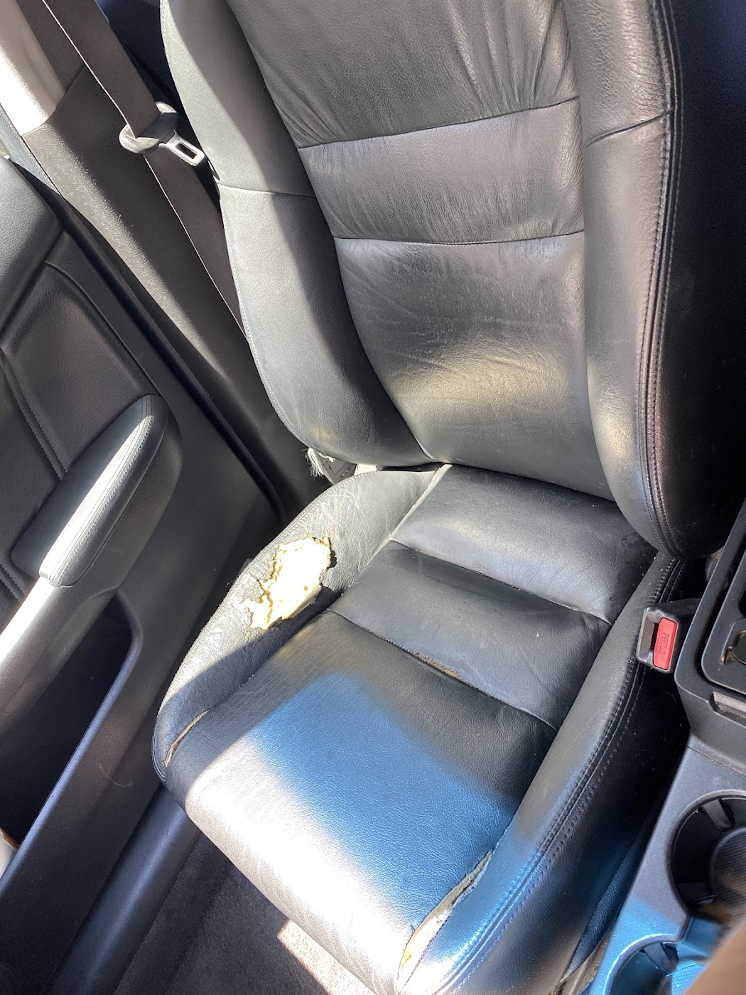 Chino Auto Upholstery work